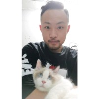 Stephen Chan