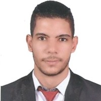Mohamed A. Ramadan