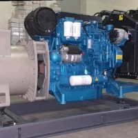 Generator Soygen