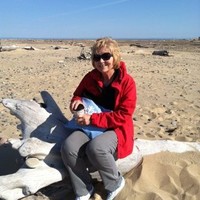 Susan Wichmann