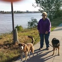 Cathi Kantowski