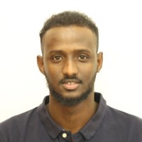 Ali Ahmed Ali