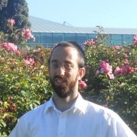 Nachman Berkowitz