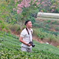 HUY HOÀNG