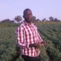 Harold Musukwa