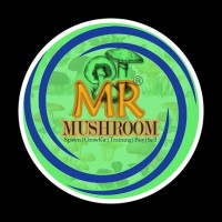 Mr Mushroom