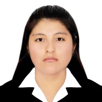 Nancy Chambilla Pari