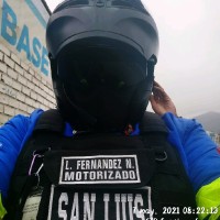 Luis Fernandez