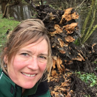 Manou Van Der Noort