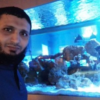 امين البشبيشى