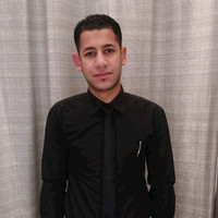 Mohammed Samir Abdelhamed