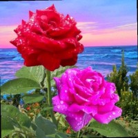 Aman Kumar