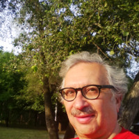 Les Friedman