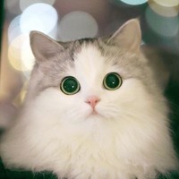 张海君