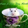 Vinetha Rao
