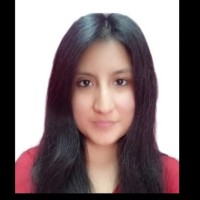 Diana Mercedes Fernandez Huamani