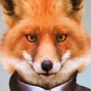 Fox Innovations