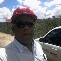 Alex Ubaldo