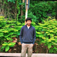 Harikrishna Saripalli