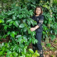 Yin Yin Aung
