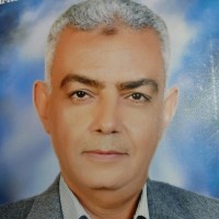 Ashraf Kamal Hamada