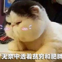 张寅成