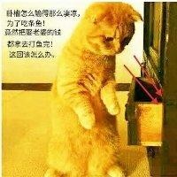 邓锦波