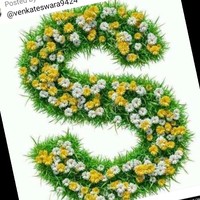 Srikanth Beemanapally