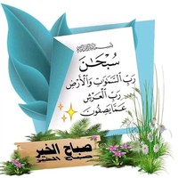 Ali El Haimer
