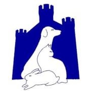 Castle Vets Reading