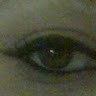 Cams Cams