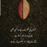 Sami Ulhaq