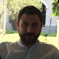 MARIO ENRICO BERTOLINI