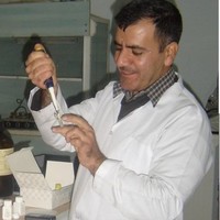 Nabil Husain Rasol