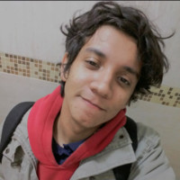 Murilo Henrique de Camargo da Silva