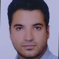Syed Mohsen Hesami