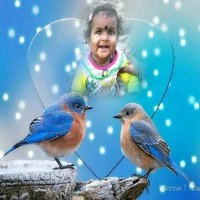 Sunil Kumar Shaw