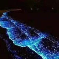 康增辉