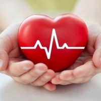 Shri B D Mehta Mahavir Heart Institute
