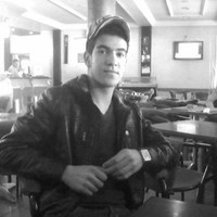 Hamdi Mbarek