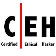 Hacked Hacker