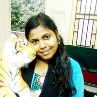 Akila Nageswari
