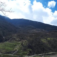 Zakiye Ahmadi