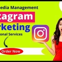 Digital Creative Force