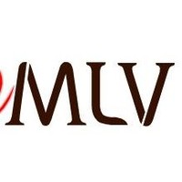 Mlv Techniek