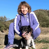 Maria Teresa Fonolleras Baiges