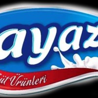 Ayaz Gıda