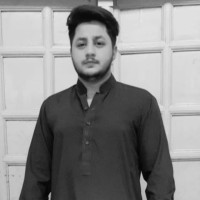 Ansab Malik