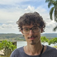 David Daminelli