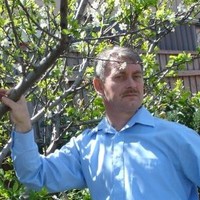 Chris Torzynski